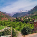 7 Days Marrakech to Fes Tour